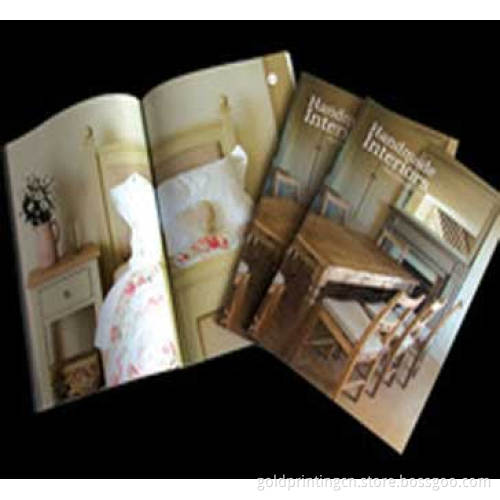 Company Brochure Printing,Brochures Printing in China